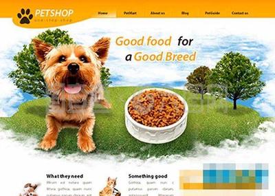 华兴宠物食品 呵护爱宠健康的美味之选